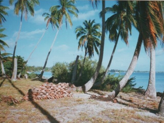 Fakarava Coconut Shell Stack